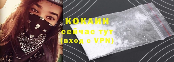 индика Алексин