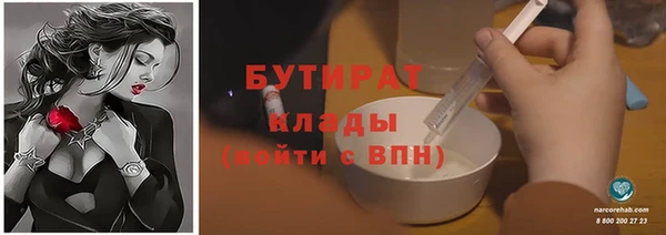 индика Алексин