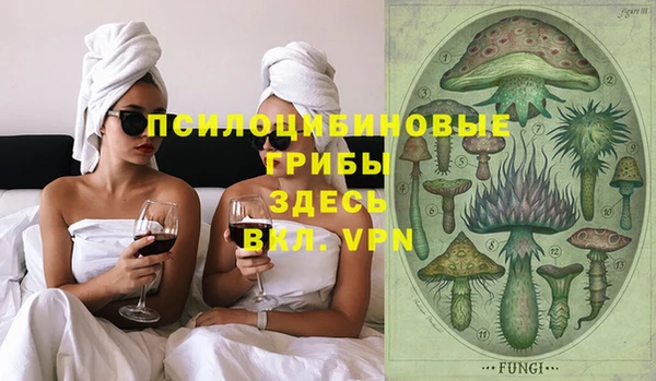 индика Алексин
