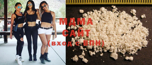 индика Алексин