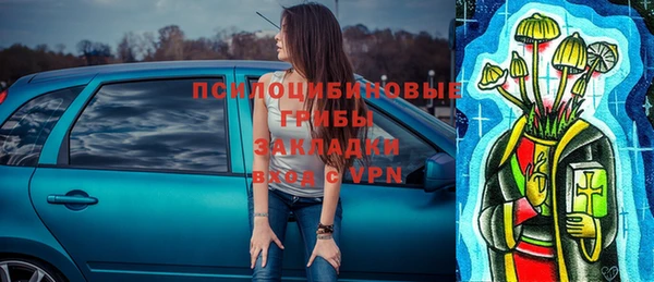 индика Алексин