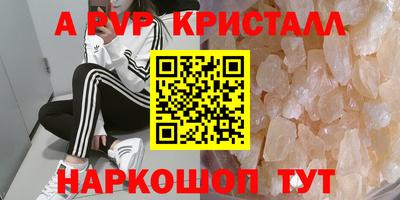 прущие грибы Малгобек