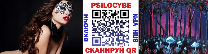 продажа наркотиков  Дзержинск  Псилоцибиновые грибы Psilocybine cubensis 