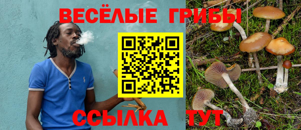 Псилоцибиновые грибы мицелий Дзержинск
