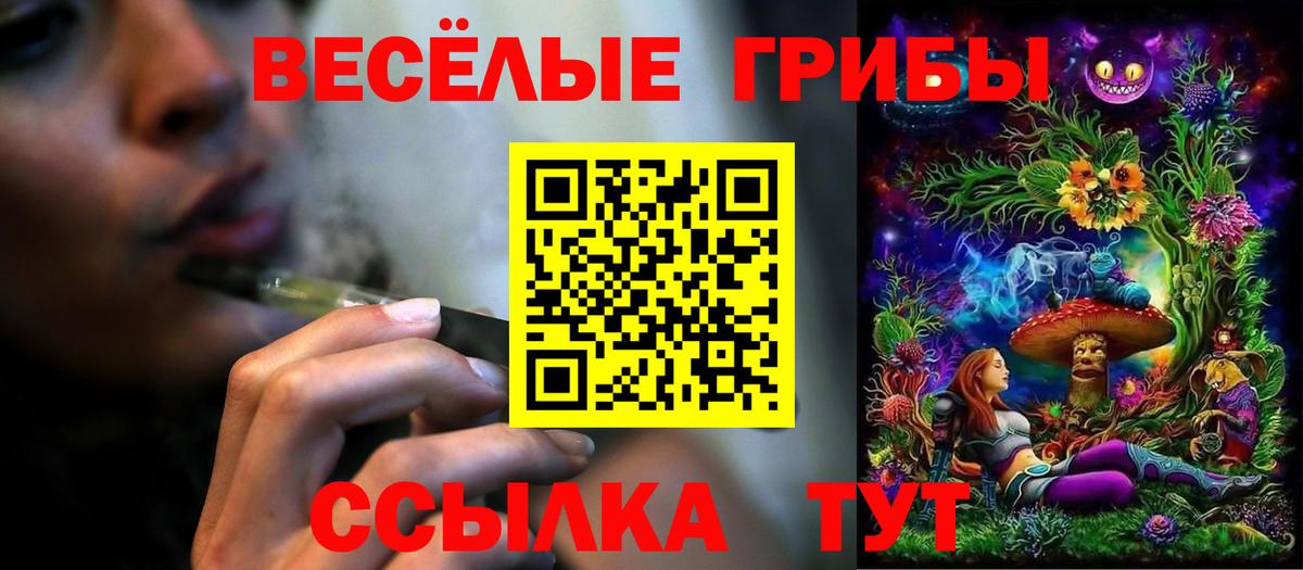 даркнет сайт  Псилоцибиновые грибы Psilocybine cubensis  Вход с VPN  Псилоцибиновые грибы мицелий  Дзержинск 